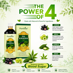 PureDise Dia Suraksha Juice | Ayurvedic Herbal Juice for Blood Sugar Support | 1000ml